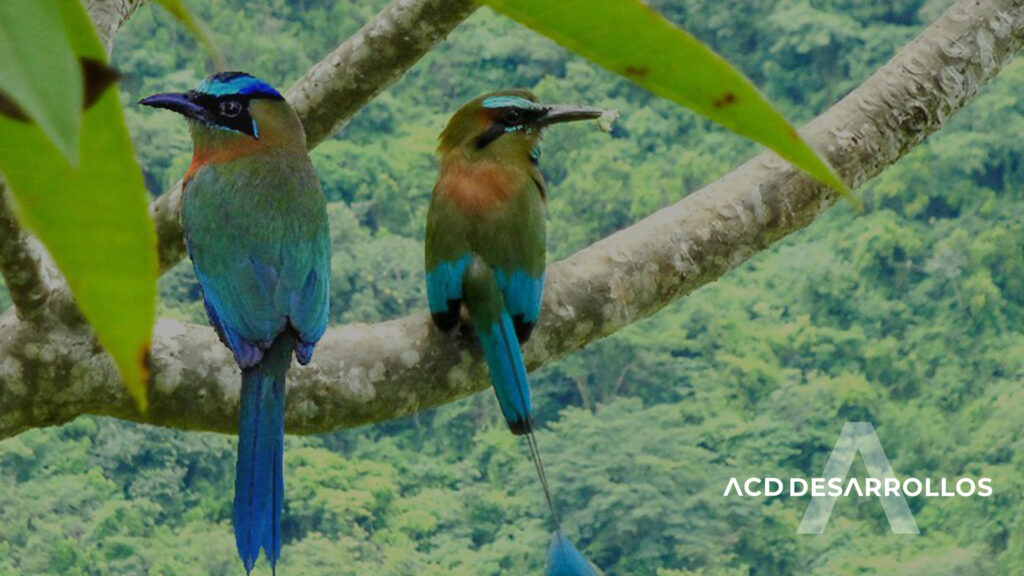 ecoturismo en yucatan