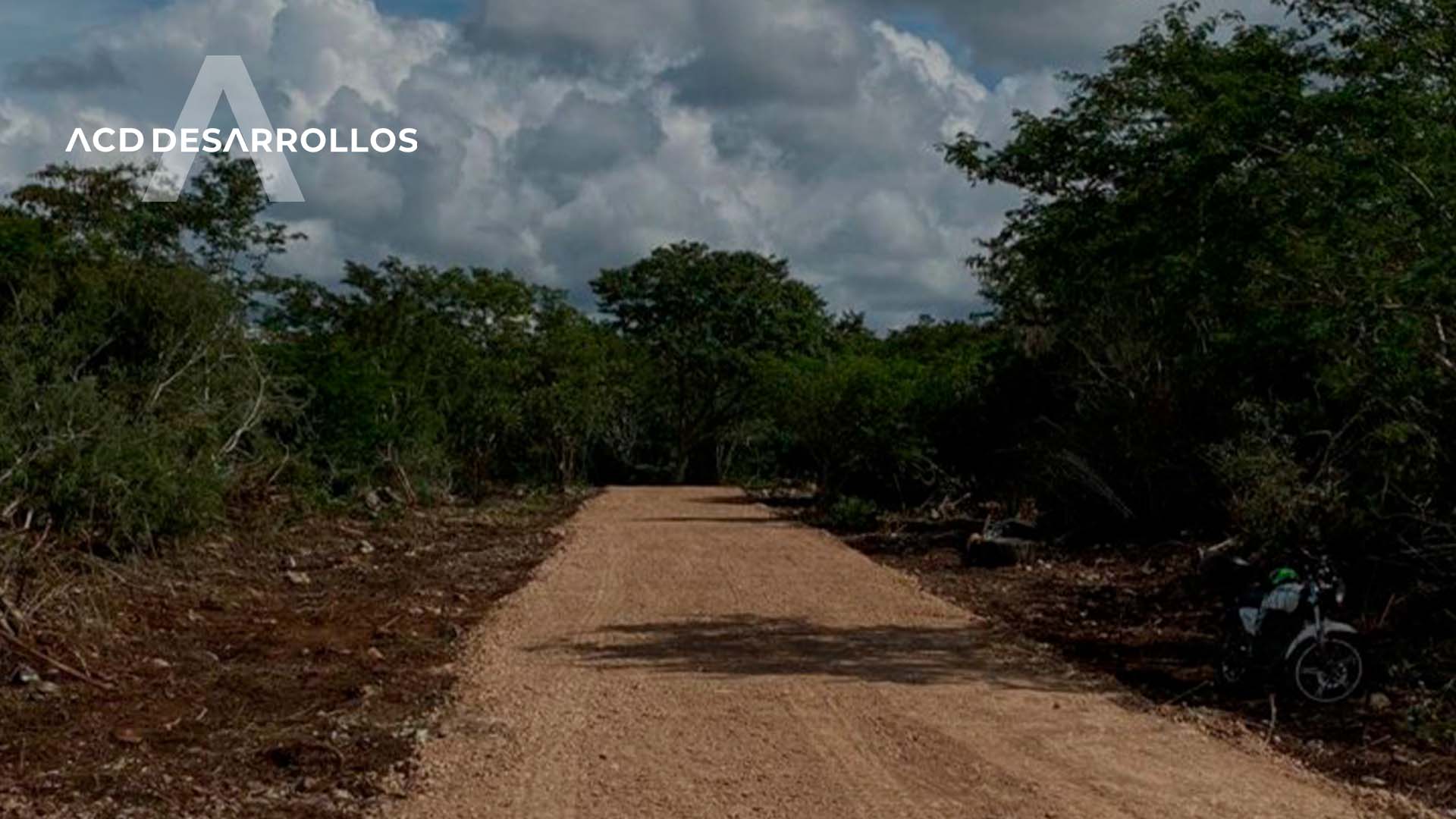 Las Calles Blancas: ¿Qué son y en que consisten?