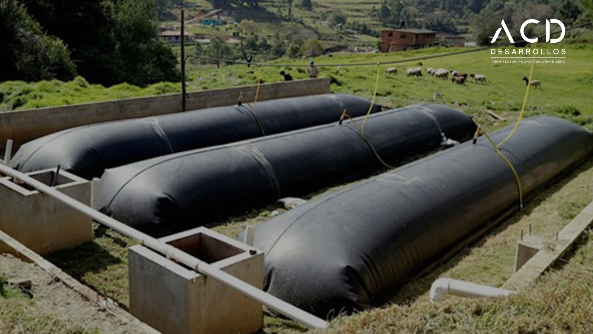 Tipos de biodigestores: ¿Cuál es la mejor opción?