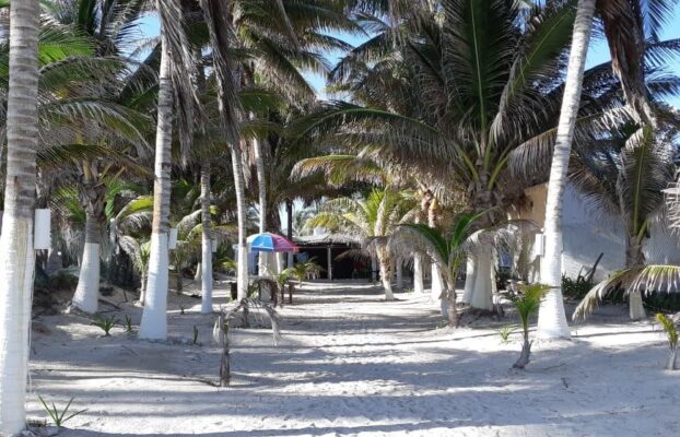 Puerto Chuburná un paraíso ecoturistico